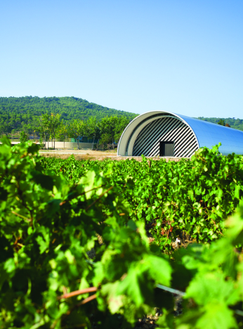 Un vignoble luxuriant se dévoile devant un moderne bâtiment de stockage vinicole.