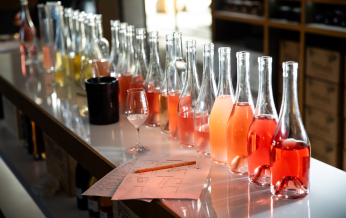 Une sélection de bouteilles de rosé à déguster, sur un comptoir éclairé.