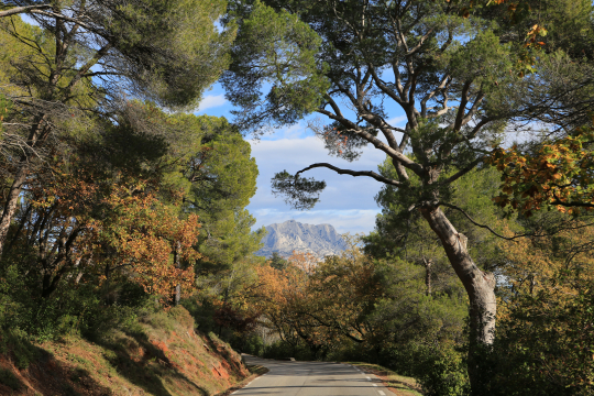 Chemin de montagne ombragé avec vue sur les montagnes et les arbres colorés.