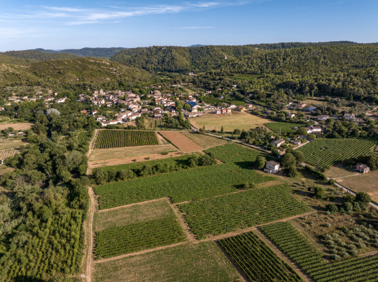 Paysage rural vallonné avec vignes et village pittoresque sous un ciel bleu.