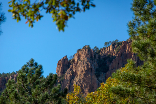 Des formations rocheuses rouges se dressent contre un ciel bleu clair, ornées d'arbres et de branches.