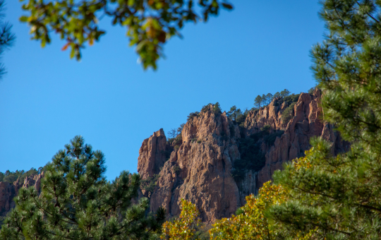Des formations rocheuses rouges se dressent contre un ciel bleu clair, ornées d'arbres et de branches.