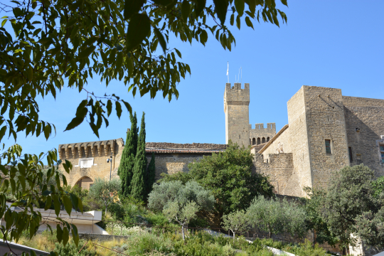 Vues panoramiques d'un château médiéval en pierre sous un ciel bleu clair.