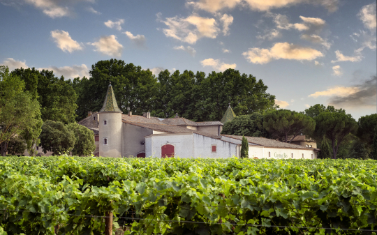 Château Bassin, entouré de vignes luxuriantes, offre un paysage pittoresque de la région.