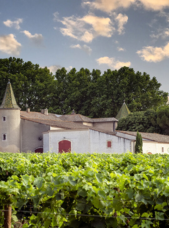 Château Bassin, entouré de vignes luxuriantes, offre un paysage pittoresque de la région.