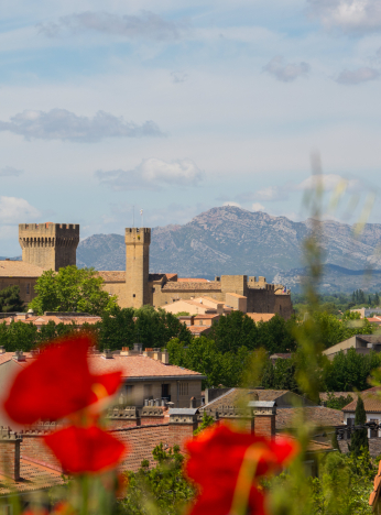 Vue imprenable sur la citadelle de Sault, dominant le paysage provençal.