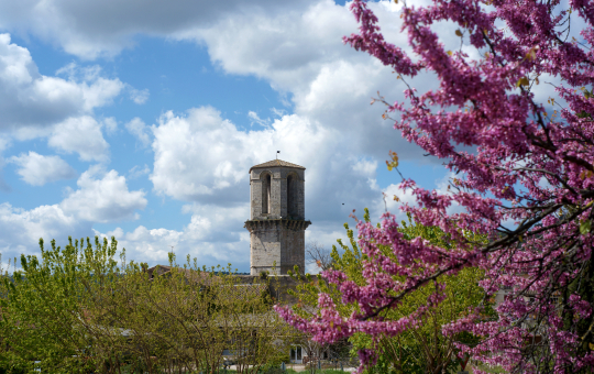 Une tour médiévale se dresse sous un ciel nuageux, entourée de fleurs de cerisier en pleine floraison.