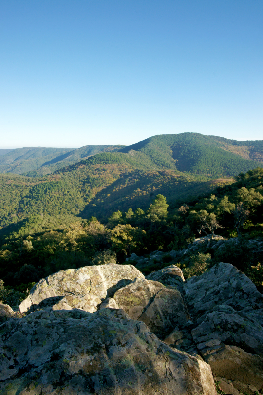 Paysage montagneux verdoyant sous un ciel bleu, avec des rochers en premier plan.