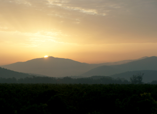 Coucher de soleil paisible sur les montagnes brumeuses et les champs verdoyants.