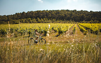 Une femme pédale sur un vélo électrique dans un champ de tournesols ensoleillé.
