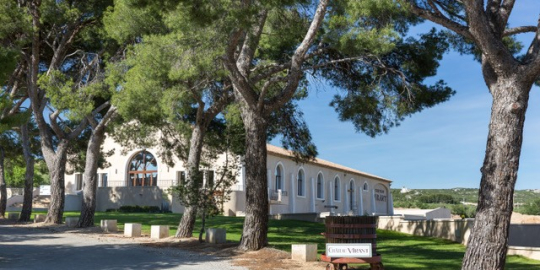 Un bâtiment historique entouré d'arbres dans un cadre paisible et verdoyant.