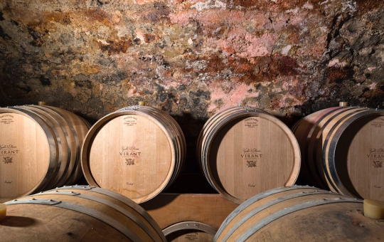 Cinq barriques de vin en cave, prêt à vieillir avec soin.