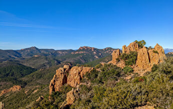 Paysage montagneux et forestier sous un ciel bleu éclatant, vue panoramique.