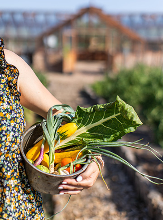 Une femme tient un panier rempli de légumes frais cultivés dans un jardin.