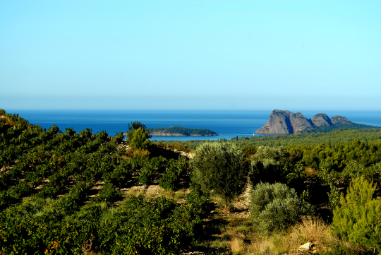 Vue panoramique sur la mer turquoise et les montagnes verdoyantes d'une côte méditerranéenne.