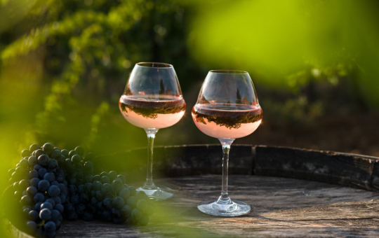 Deux verres de rosé reflètent un paysage viticole paisible et ensoleillé.