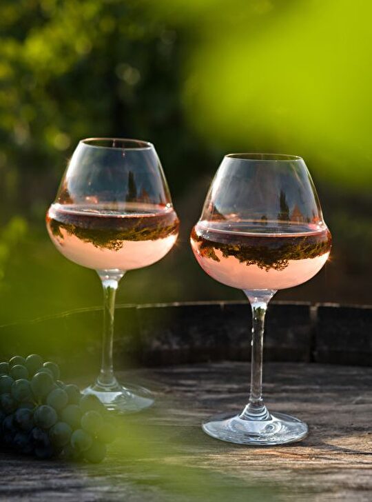 Deux verres de rosé reflètent un paysage viticole paisible et ensoleillé.