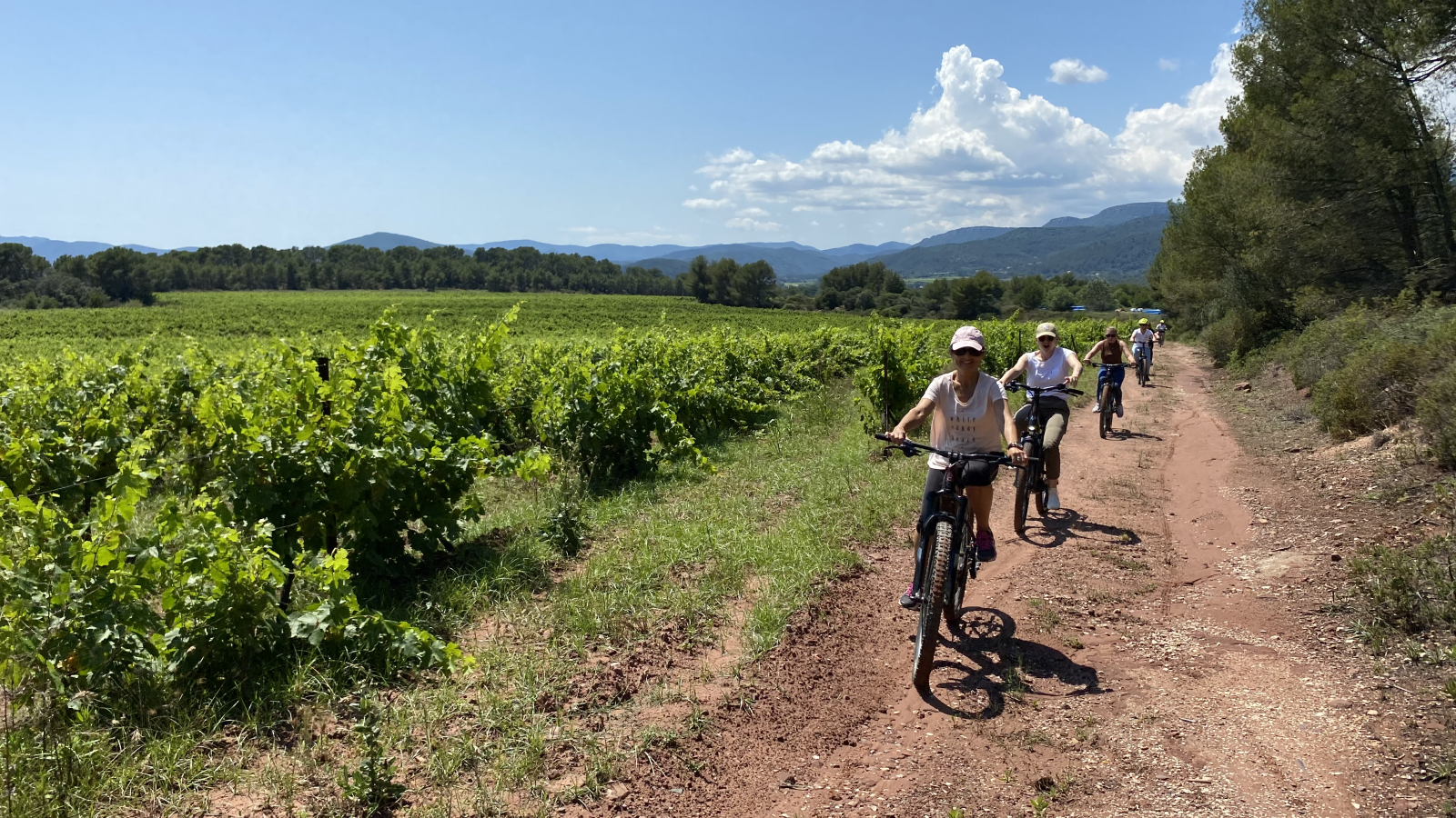 Des cyclistes sillonnent une voie en terre dans un vignoble ensoleillé.