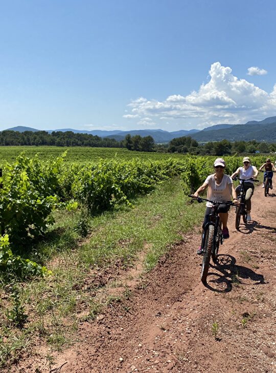 Des cyclistes sillonnent une voie en terre dans un vignoble ensoleillé.