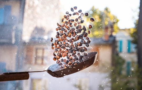 Des grains de café en plein vol, une image dynamique et chaleureuse.