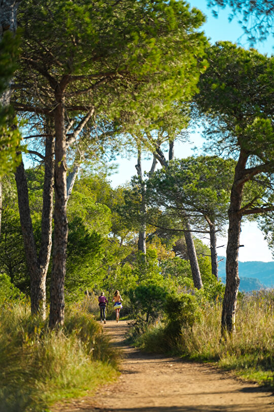Deux personnes courent sur un sentier ombragé dans une forêt méditerranéenne.