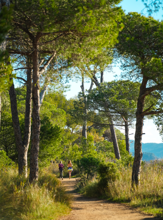 Deux personnes courent sur un sentier ombragé dans une forêt méditerranéenne.