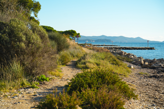 Sentier côtier rocheux avec végétation méditerranéenne et mer bleue en arrière-plan.