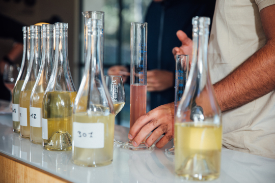 Des mains examinent des bouteilles de vin blanc et de vin jaune, en laboratoire.