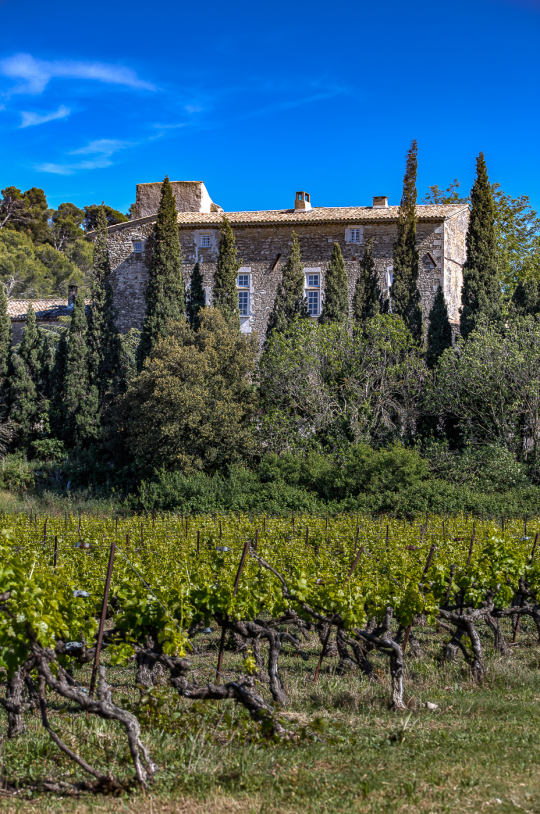 Vieille bâtisse de pierre entourée de vignes et de cyprès sous un ciel bleu éclatant.