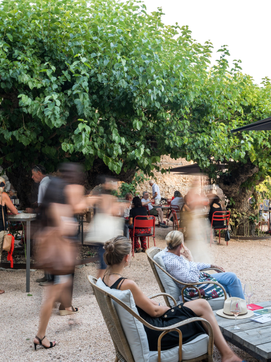 Ambiance conviviale dans un jardin ombragé, avec des tables et des personnes en conversation.