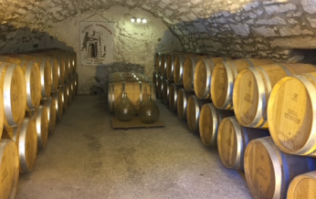 Une cave à vin avec de nombreux tonneaux en bois, ambiance chaleureuse et rustique.