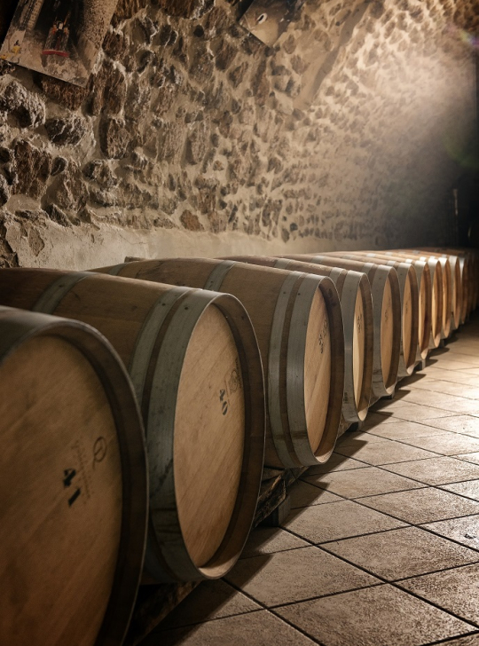 Une rangée de tonneaux en bois dans une cave à vin, éclairée par un rayon de lumière.
