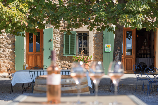 Une charmante terrasse d'un restaurant provençal sous les arbres, avec des verres et des tables.
