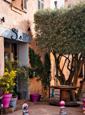 Une charmante façade de boutique avec des pots de fleurs et un arbre ombragé dans une rue pittoresque.