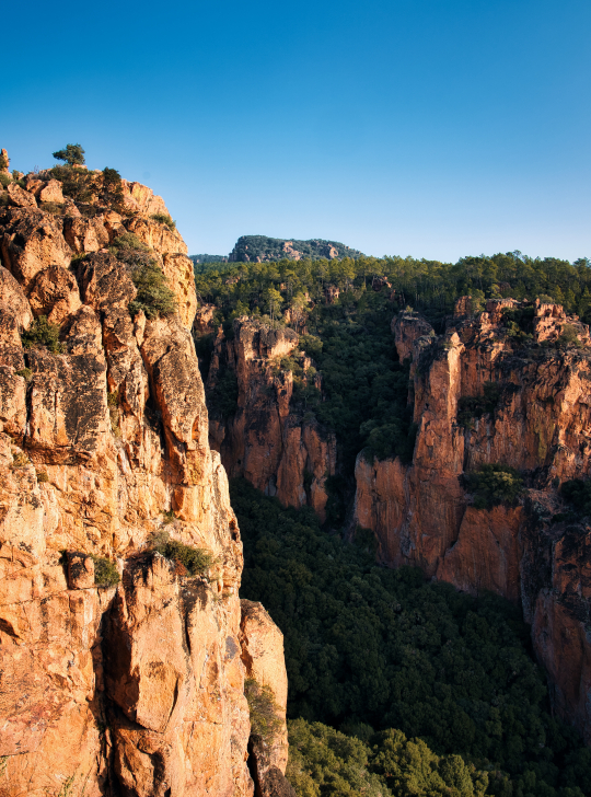 Paysage rocheux impressionnant sous un ciel bleu, avec des arbres verdoyants au loin.
