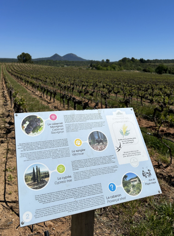 Carte de la Provence, mettant en avant le vin, le cyprès et le cannelier.