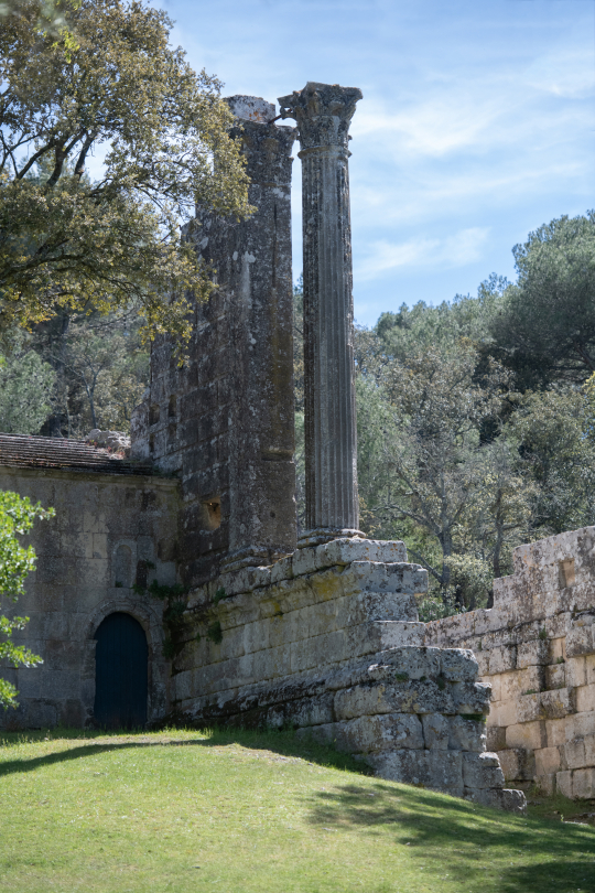 Ruines d'un temple grec en pierre, entourées de verdure, témoignant d'un passé antique.