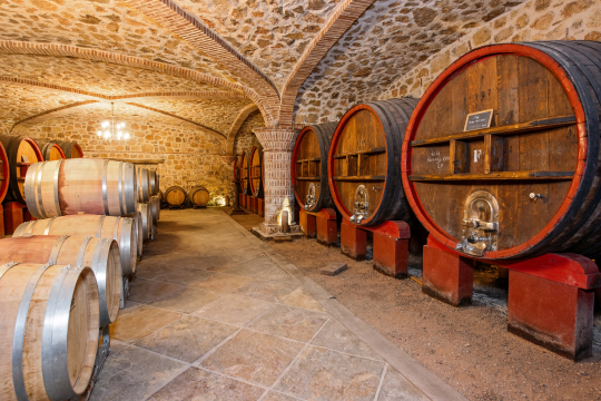 Une cave à vin en pierre avec des tonneaux en bois, prêts à stocker le vin.