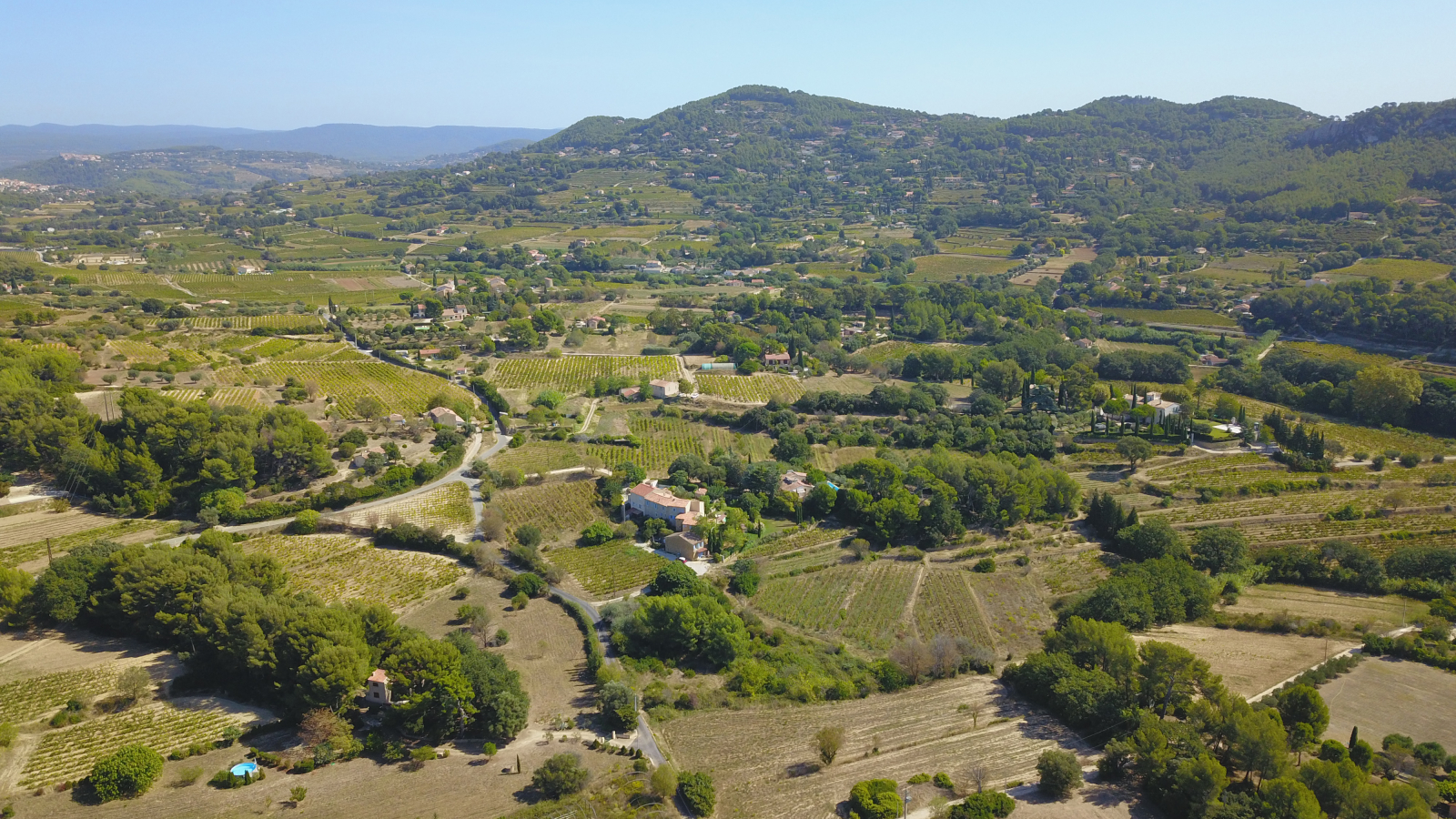 Paysage vallonné avec vignes et fermes, sous un ciel bleu clair.