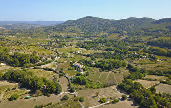 Paysage vallonné avec vignes et fermes, sous un ciel bleu clair.