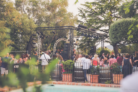 Vue d'ensemble d'un concert en plein air avec un public nombreux et un décor verdoyant.