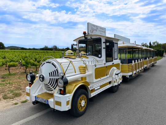 Un train touristique décoré et lumineux, prêt à explorer les vignes.