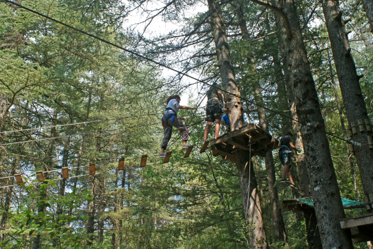 Des personnes se balancent sur un parcours d'accrobranche dans une forêt dense.