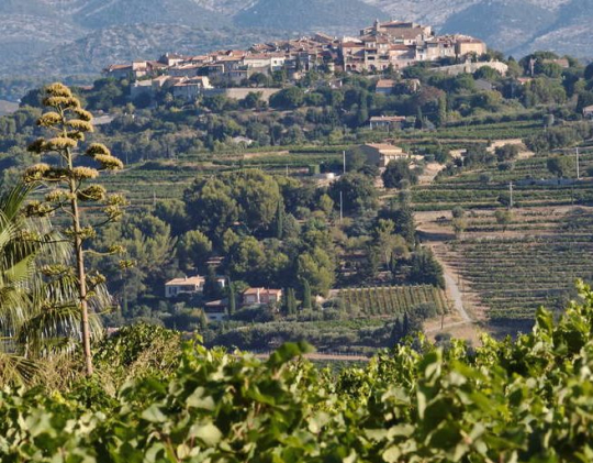 Un village pittoresque niché dans un paysage vallonné et arboré, offrant une vue magnifique.