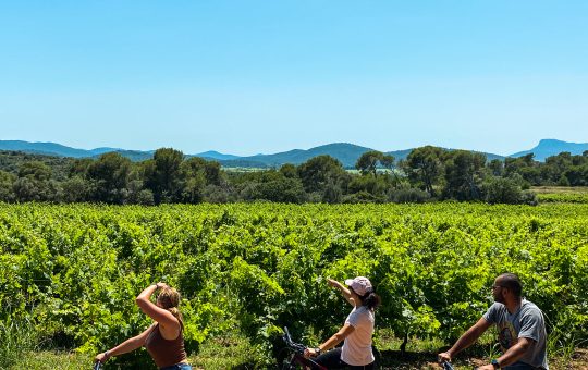 Trois cyclistes électriques profitent d'une balade dans un vignoble méditerranéen.