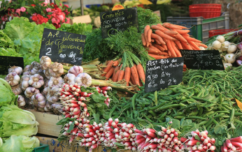 Un marché coloré avec des légumes frais : carottes, oignons, ail et radis.