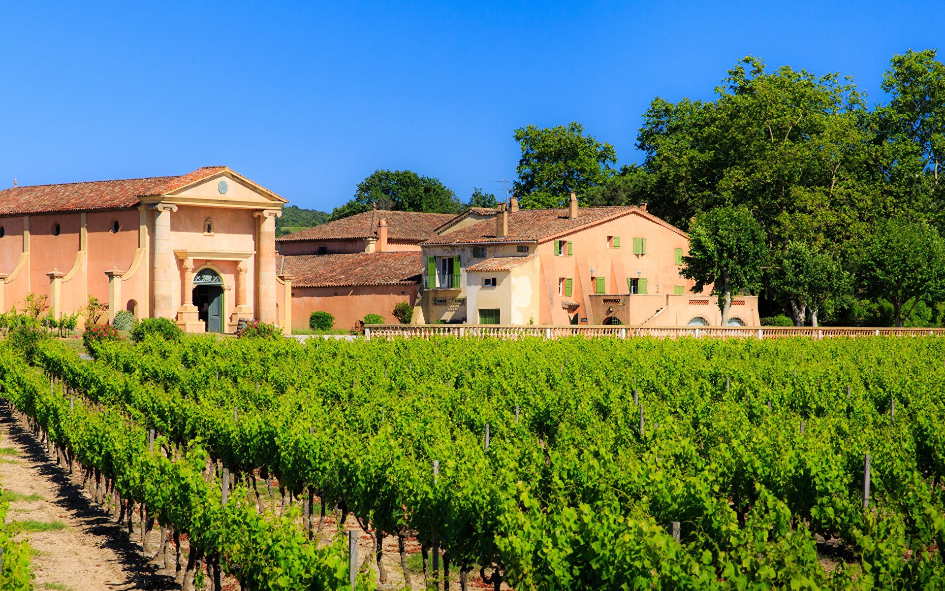 Domaine de la Commanderie, magnifique château provençal entouré de vignes luxuriantes sous un ciel bleu.