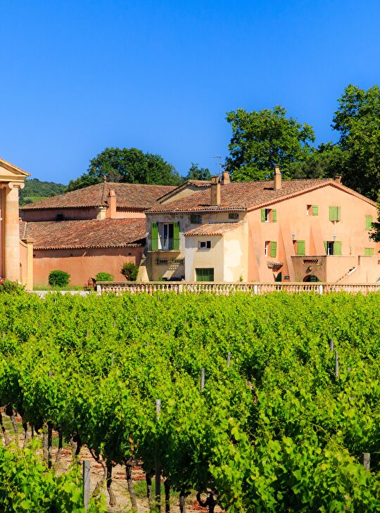 Domaine de la Commanderie, magnifique château provençal entouré de vignes luxuriantes sous un ciel bleu.