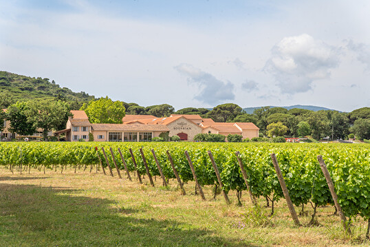 Domaine Bourrian, vignoble ensoleillé et paysage vallonné provençal.