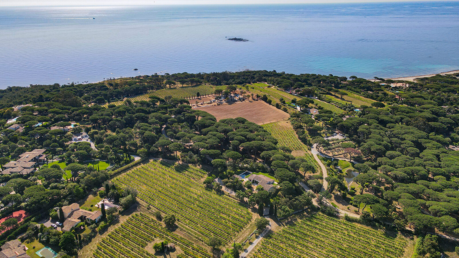 Vue aérienne d'une propriété côtière avec vignes et maisons, surplombant la mer Méditerranée.